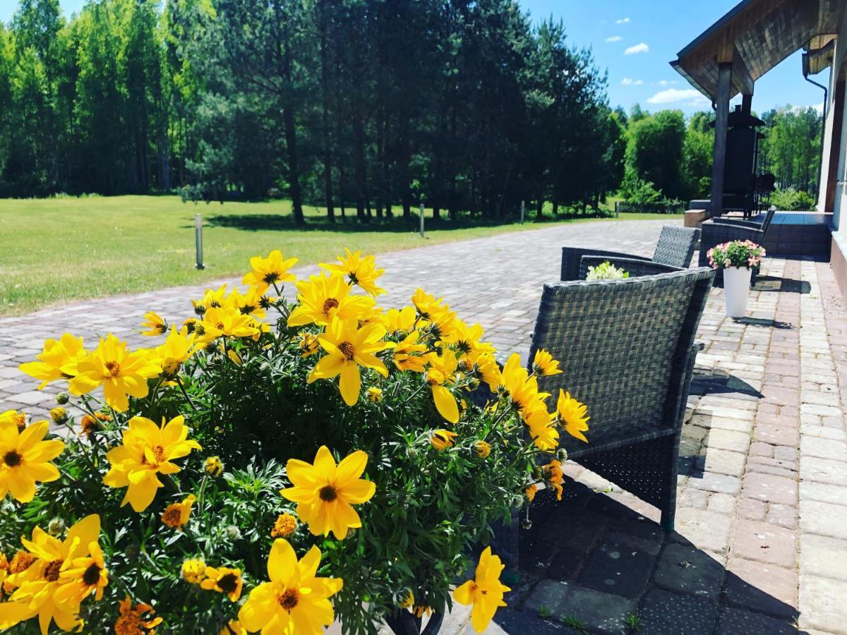 Dizpriedes Hotel Кандава Екстериор снимка